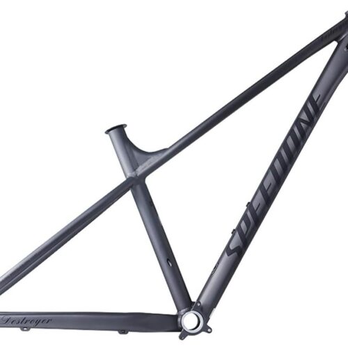 27.5er 29er XC/AM Hardtail Mountain Bikes Frame,Max 2.35" Tire Aluminum Alloy Rigid Frame Disc Brake Racing Frame,Thru Axle 12x148mm Boost(Gray,L-29)