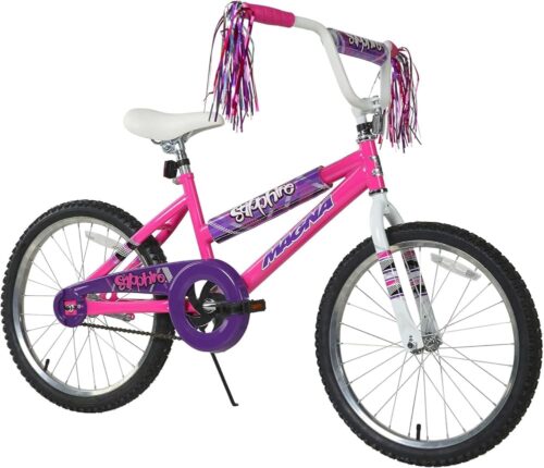 Dynacraft Magna Sapphire Bike - Sturdy Steel Frame, Front and Rear Hand Brakes, Adjustable Seat, Kickstand - Ideal for Ages 6-10, Perfect for Outdoor Riding