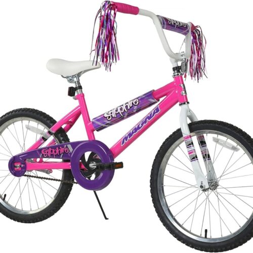 Dynacraft Magna Sapphire Bike - Sturdy Steel Frame, Front and Rear Hand Brakes, Adjustable Seat, Kickstand - Ideal for Ages 6-10, Perfect for Outdoor Riding