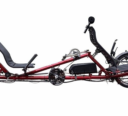 Electric Assisted Pedal Tandem Cycle | Dual Person Bike Bicycle | Motorized Recumbent Tandem Trike Tricycle