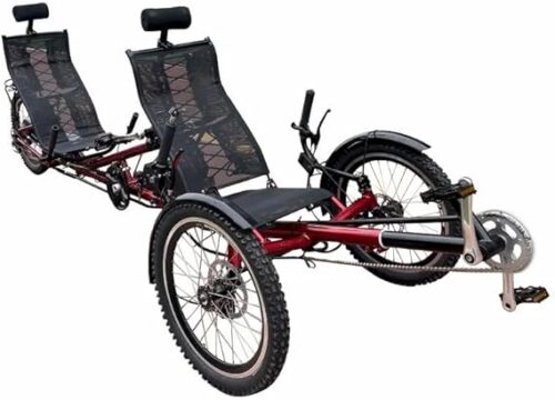 Electric Tandem Tricycle Fun | Two Person Electric Riding Excitement, Two Person There Wheel Bike