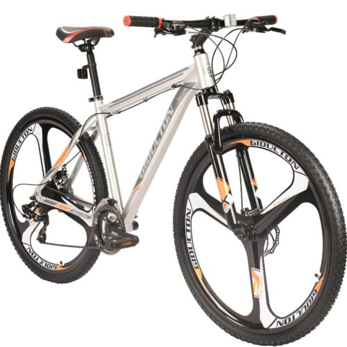 EUROBIKE 29 inch Mountain Bike,21 Speed Bikes for Men, Bicycle with Disc Brakes for Men or Women Adults