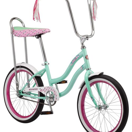 Schwinn Hazel Kids Bike, For Girls and Boys Ages 7 and Up, 20-Inch Wheels, Single Speed, Thinner Grips, Suggested Rider 4'0" to 5'0" Tall